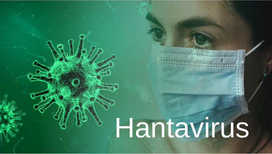 What is Hantavirus? | Hantavirus Symptoms