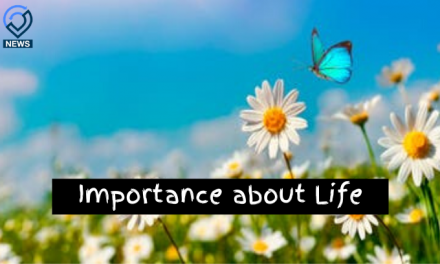 Importance about life – Most Important thing in your life-