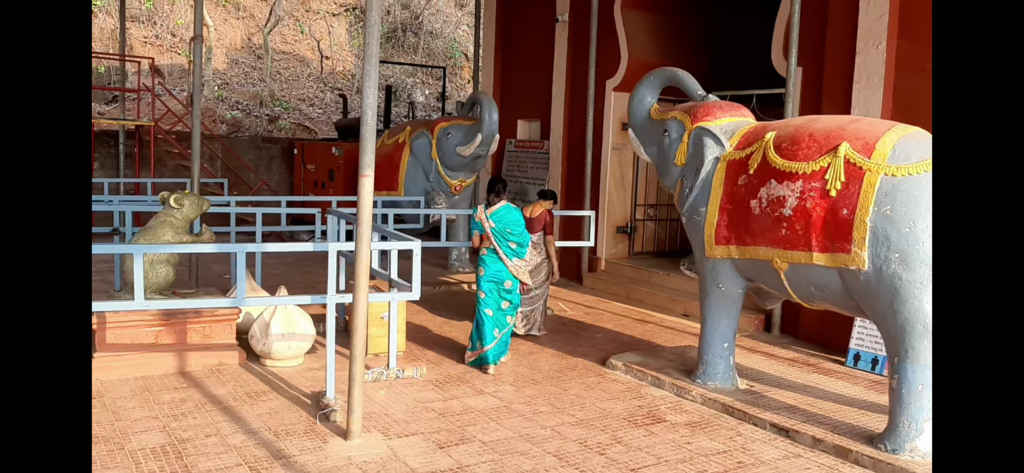 Two Baby elephant welcome us.