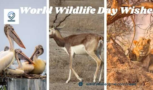 World Wildlife Day wishes