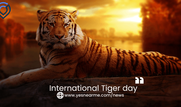 International Tiger Day Quotes