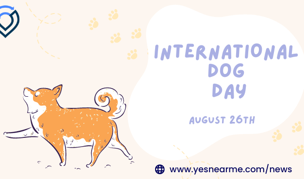 International Dog Day Quotes and Wishes