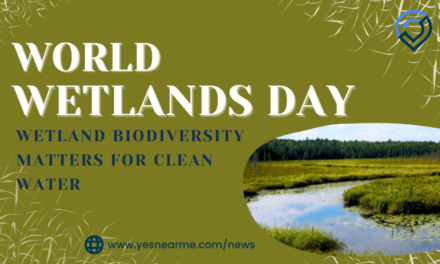 WORLD WETLANDS DAY QUOTES