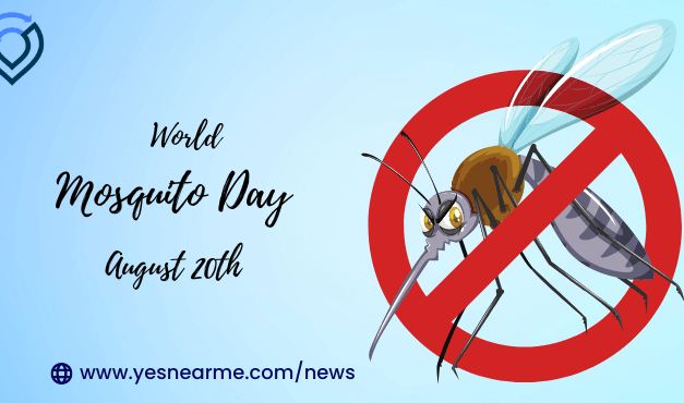 World Mosquito Day Quotes and Messages