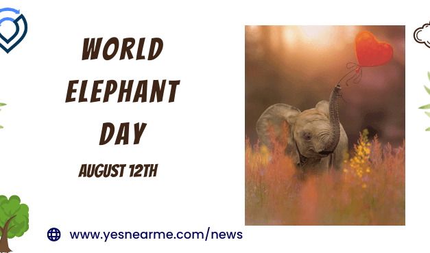 World Elephant Day Quotes and Wishes