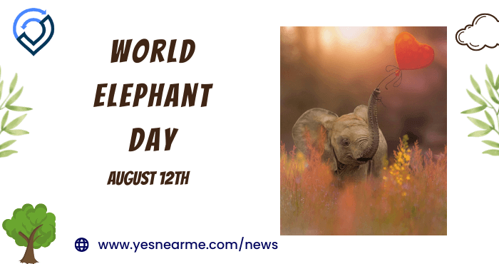 World Elephant Day Quotes and Wishes