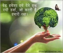 world environment day