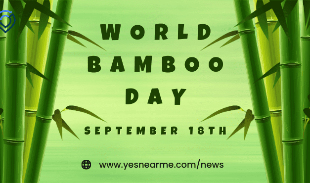 World Bamboo Day Quotes and Wishes