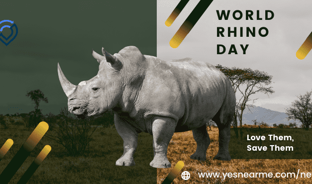 World Rhino Day Quotes and Wishes