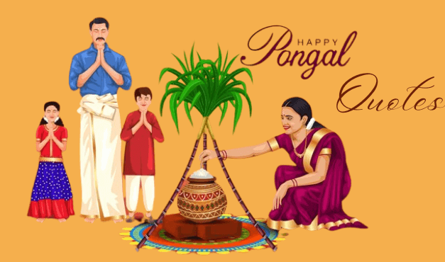 Pongal Day Quotes/Wishes