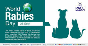 World Rabies Day