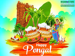 Happy Pongal Wishes