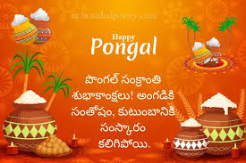 Happy Pongal Wishes