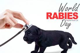 World Rabies Day