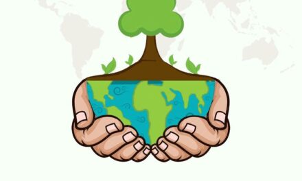 World Soil Day: Empowering a Greener Future