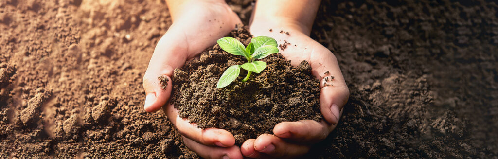 World Soil Day