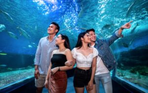 Ocean Park 