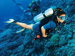 scuba diving in goa