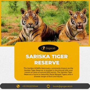 Sariska Tiger Reserve