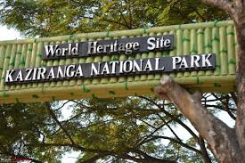 KAZIRANGA NATIONAL PARK AND TIGER RESERVE