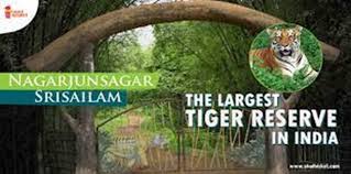  Nagarjunsagar Srisailam Tiger Reserve: 