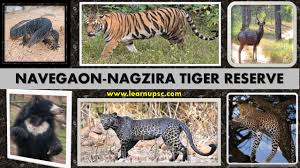 Navegaon Nagzira Tiger Reserve