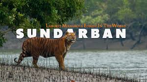 Sundarbans Tiger Reserve