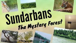 Sundarbans Tiger Reserve
