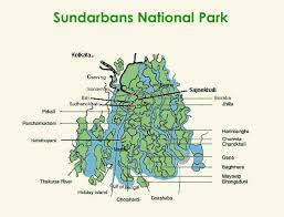 Sundarbans Tiger Reserve