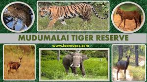 Mudumalai Tiger Reserve