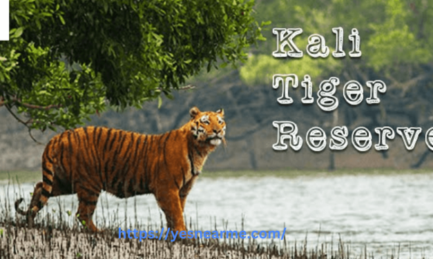Kali Tiger Reserve