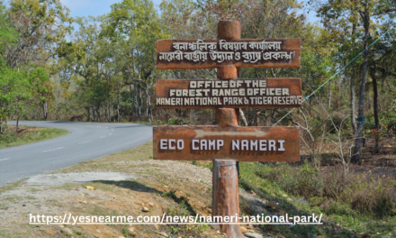 Nameri National Park: A Sanctuary of Wilderness