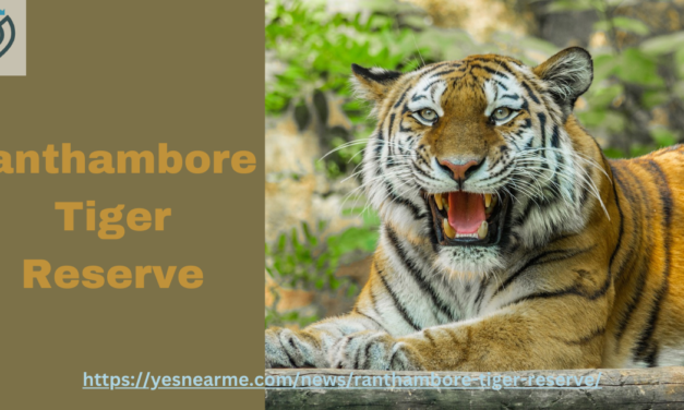 Ranthambore Tiger Reserve: A Safari Park of Rajasthan