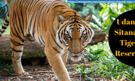 Udanti Sitanadi Tiger Reserve