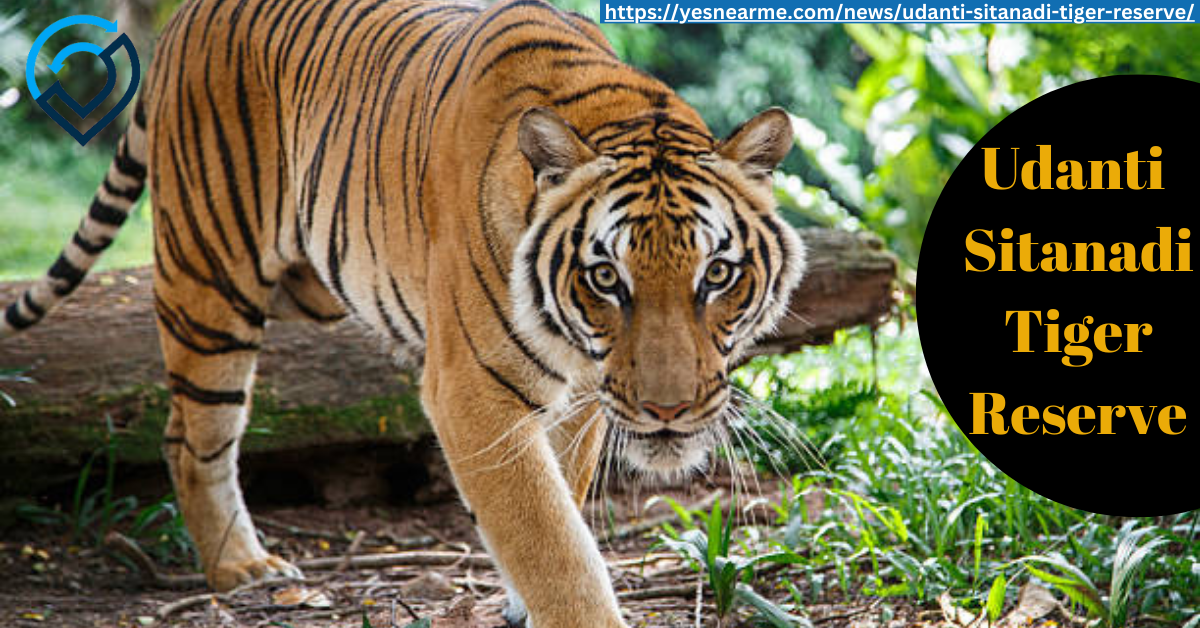 Udanti Sitanadi Tiger Reserve