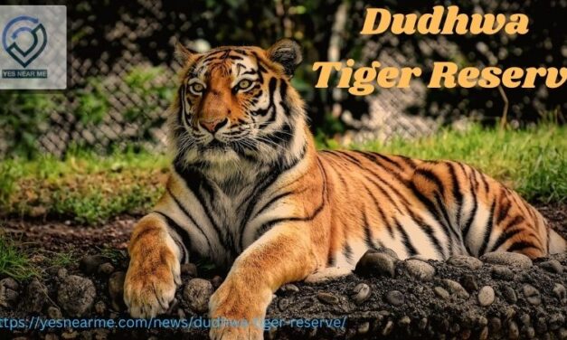 Dudhwa Tiger Reserve