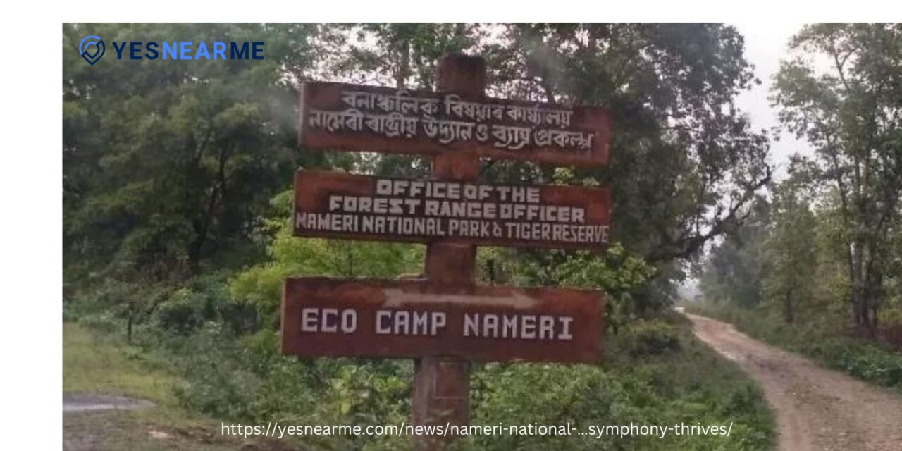 Nameri National Park: Where Nature’s Symphony Thrives