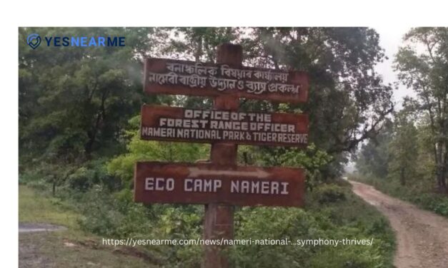 Nameri National Park: Where Nature’s Symphony Thrives