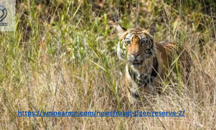 Rajaji Tiger Reserve