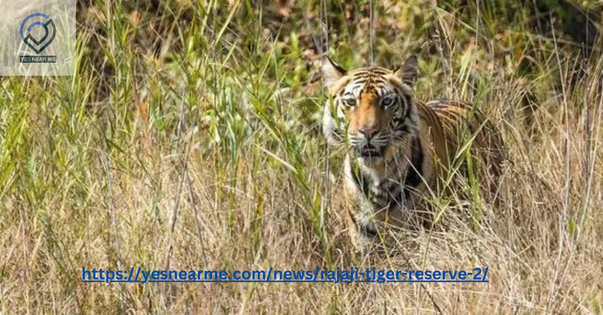 Rajaji Tiger Reserve