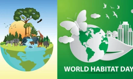 World Habitat Day