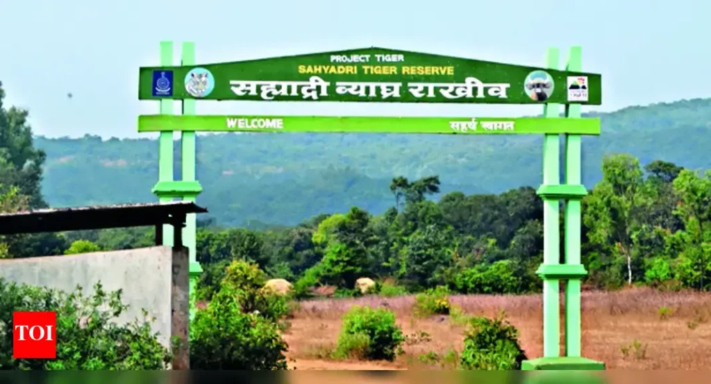 Sahyadri tiger reserve