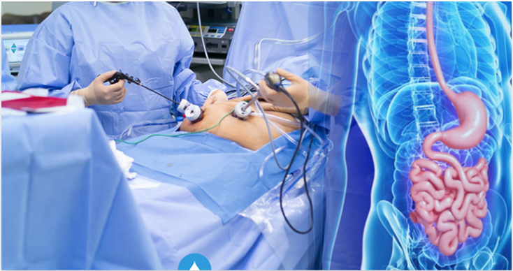 liver transplant smsc