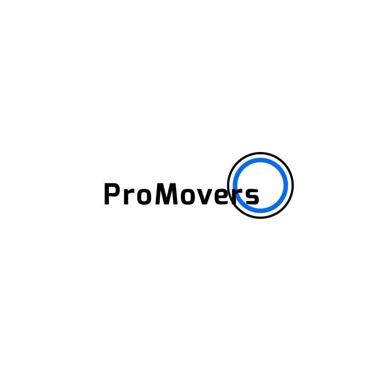 Pro Movers Miami LOGO 800×800 JPEG