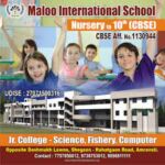 Harikisan Maloo International School