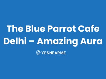 Best Cafe In Delhi, The Blue Parrot Cafe – Amazing Aura