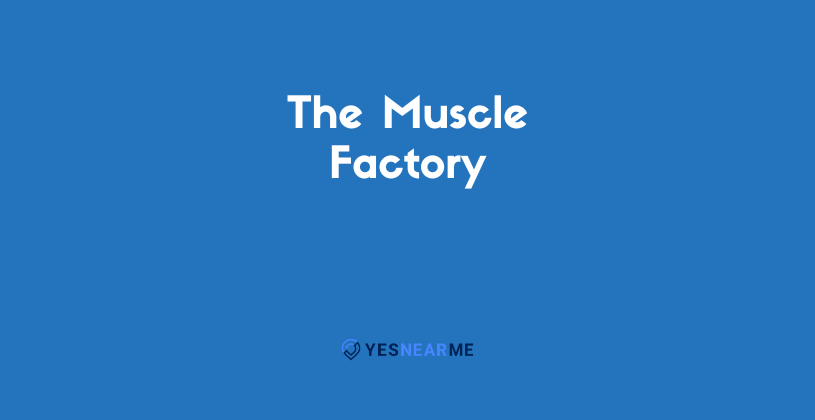 Copy-of-YNM-Biz-Cover-Image-35