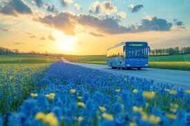 Mulchand Tours and Travels