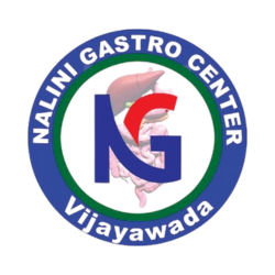 nalini-gastro-logo