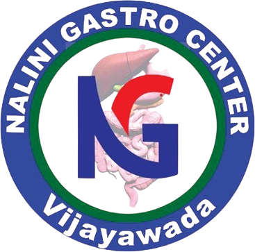 nalini-gastro-logo